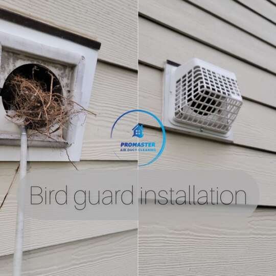 Bird guard installation service in NJ and Staten Island | Promaster