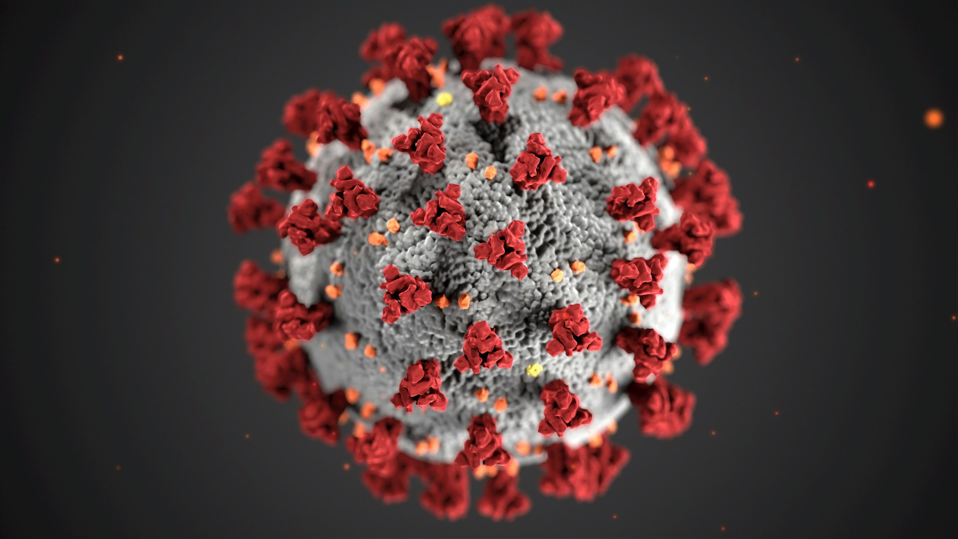 The Effect of Airborne Viruses on Duct Systems