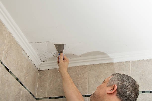 How To Get Rid Of Mold In Bathroom Ceiling Blog PROMASTER