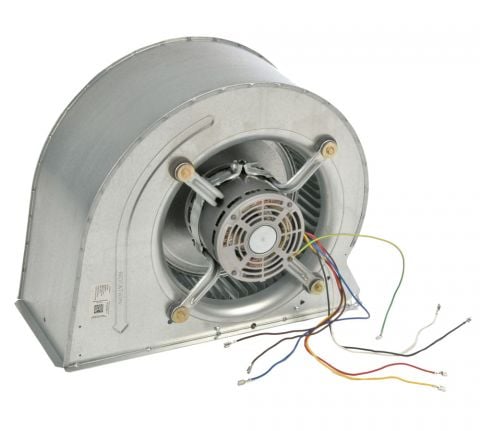 how to clean a furnace blower motor